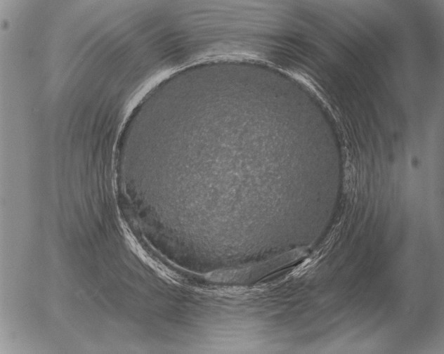 X0000056031038200509021816