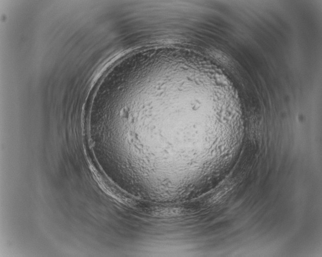 X0000056031039200509021816