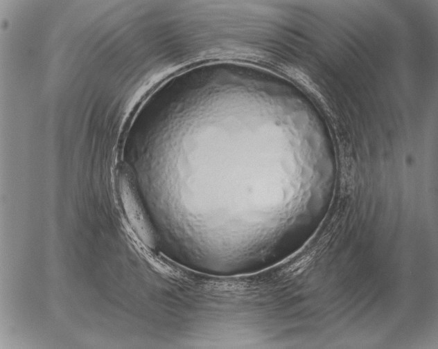 X0000056031040200509021816