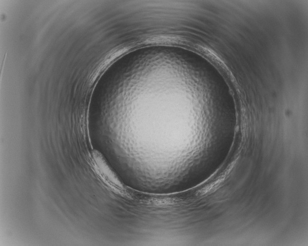 X0000056031041200509021816