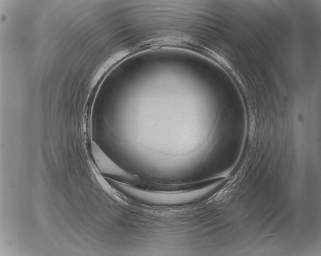 X0000056031042200509021816