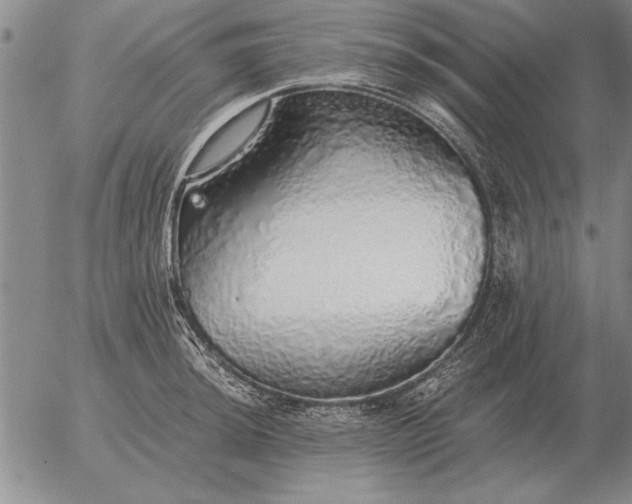 X0000056031044200509021816