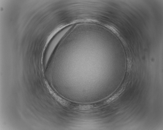 X0000056031046200509021817