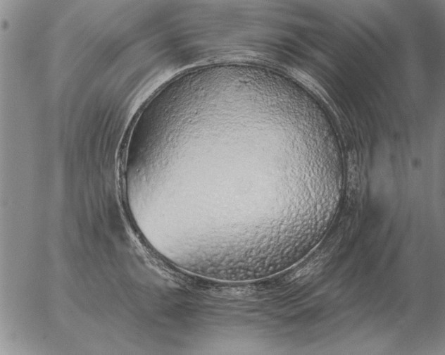 X0000056031047200509021817