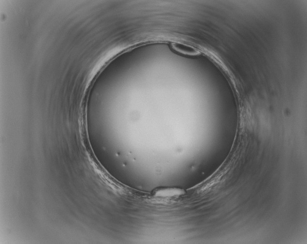 X0000056031048200509021817