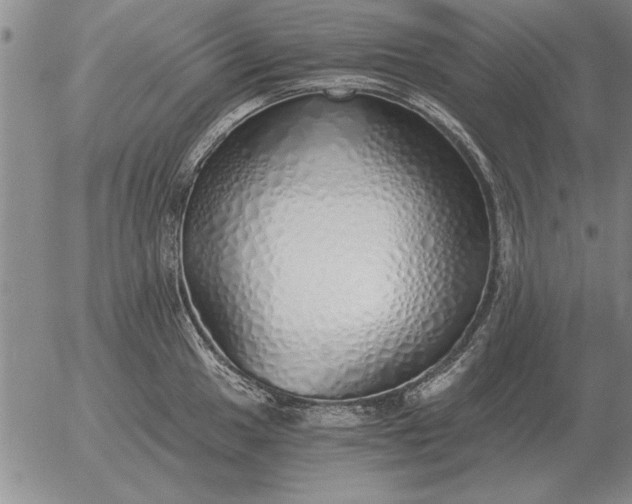 X0000056031049200509021817