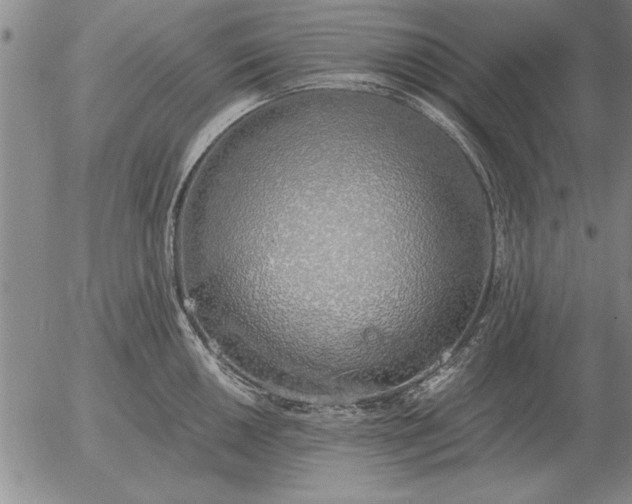 X0000056031050200509021817