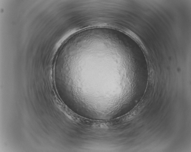 X0000056031051200509021817