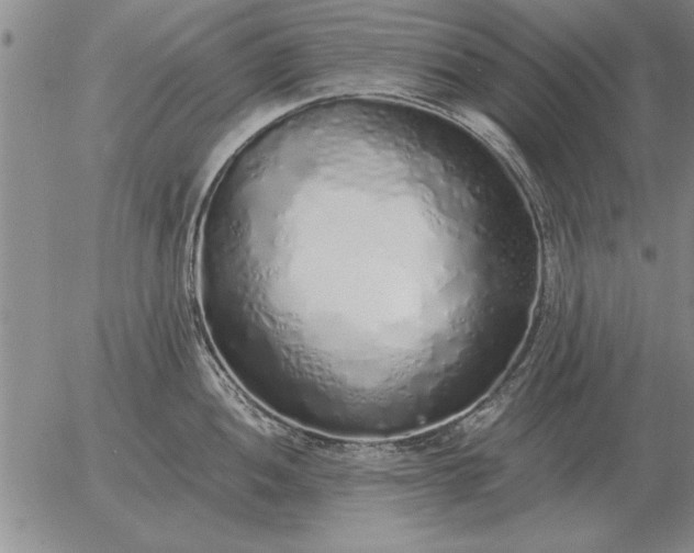 X0000056031052200509021817