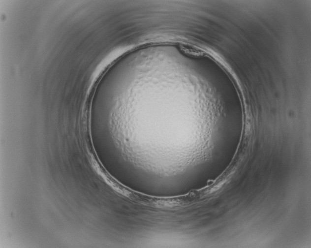 X0000056031053200509021817