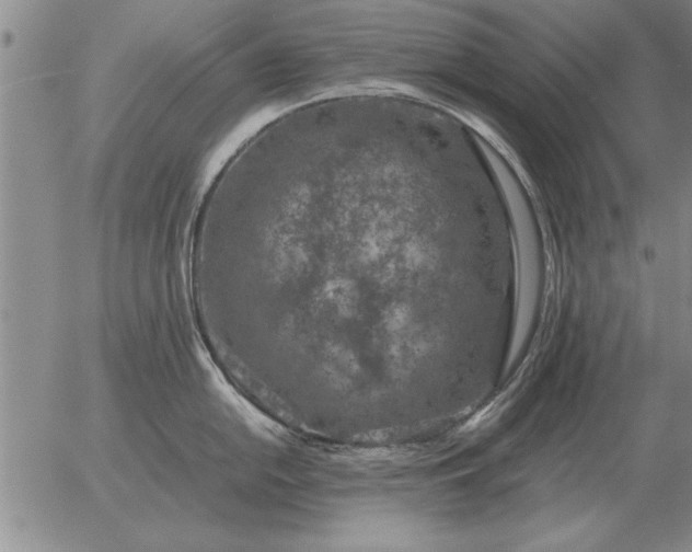 X0000056031054200509021817