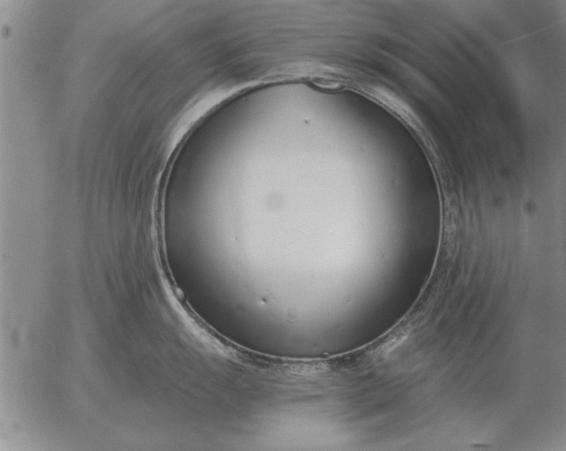 X0000056031055200509021817