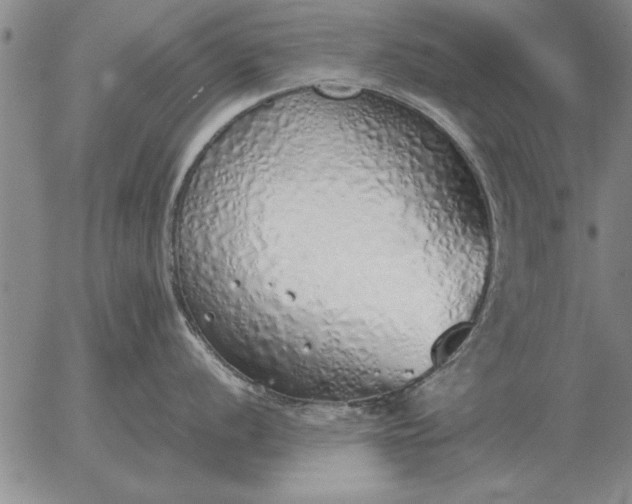 X0000056031056200509021817