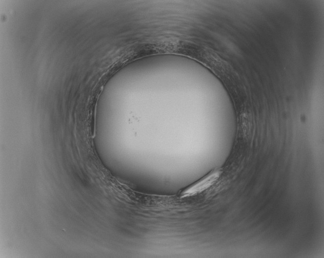 X0000056031057200509021816