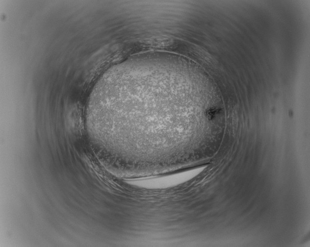 X0000056031058200509021816