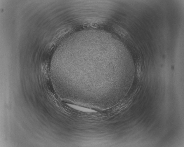 X0000056031060200509021816