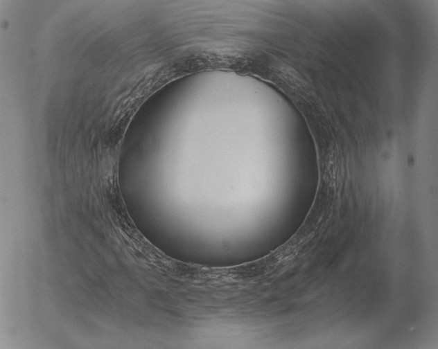 X0000056031061200509021816