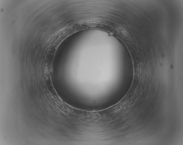 X0000056031062200509021816