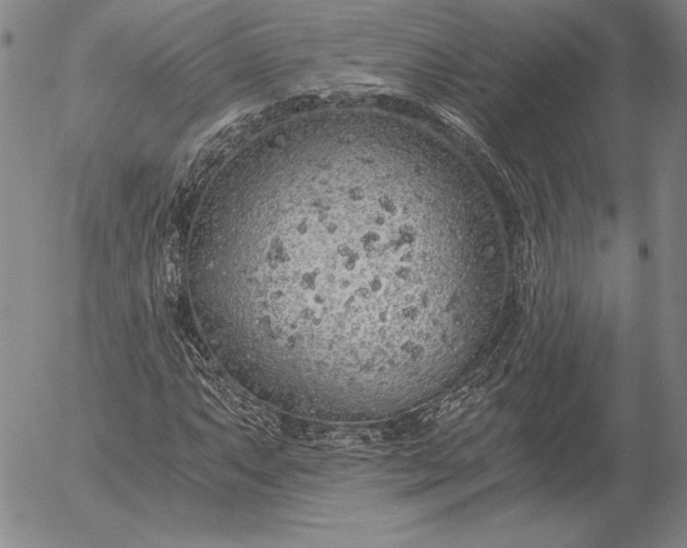 X0000056031063200509021816