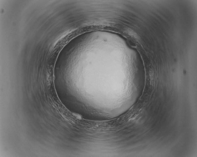 X0000056031064200509021816