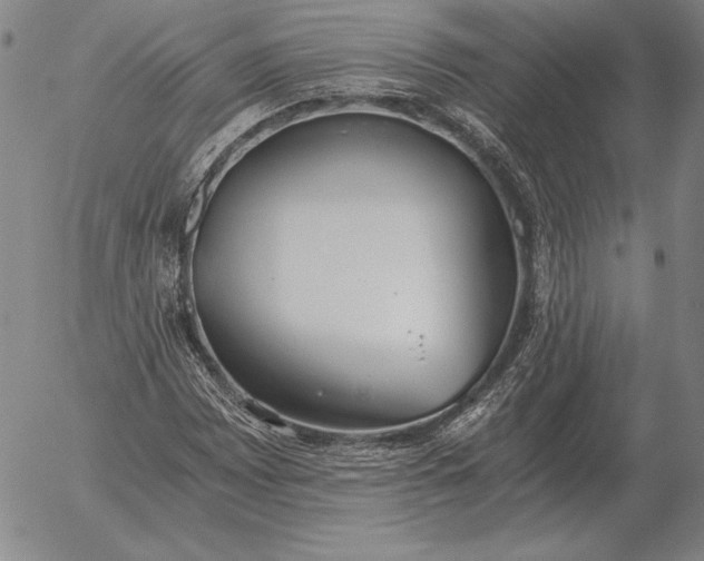 X0000056031065200509021816