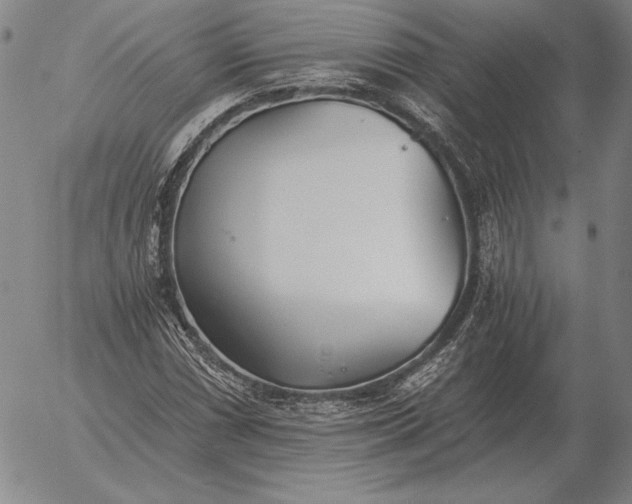 X0000056031066200509021816