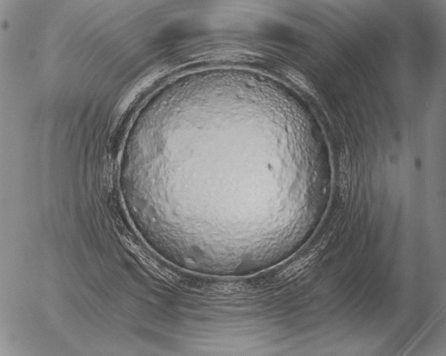 X0000056031067200509021816