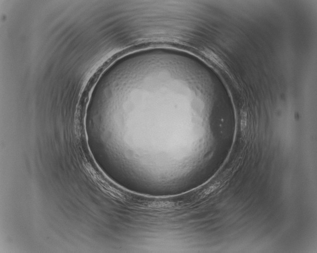 X0000056031068200509021816