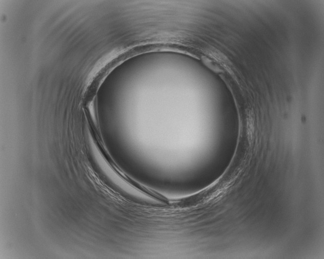 X0000056031069200509021816