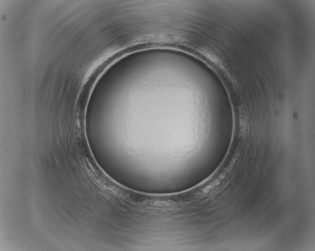 X0000056031070200509021816