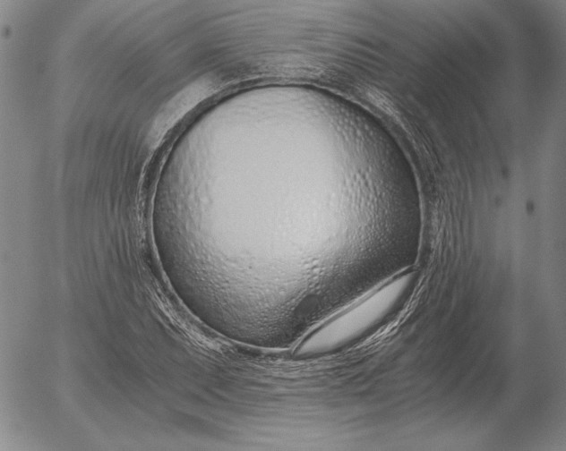 X0000056031071200509021816