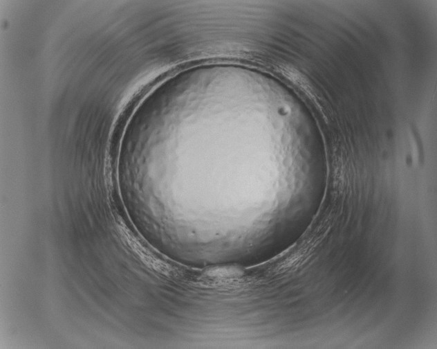 X0000056031072200509021816