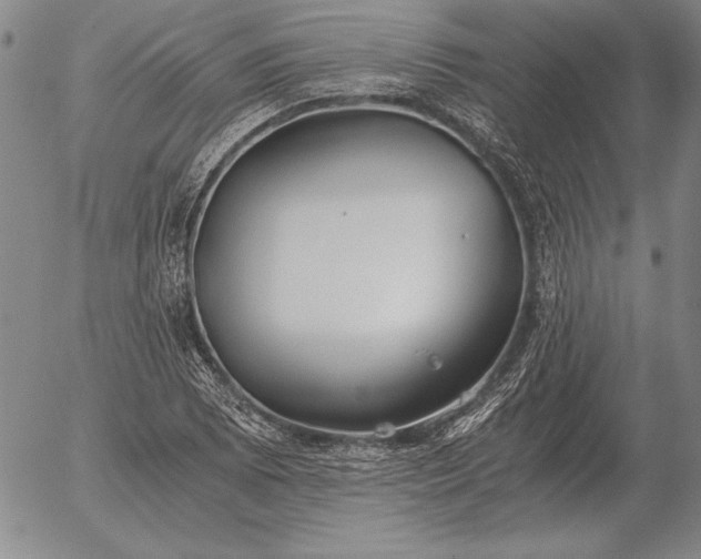 X0000056031073200509021816