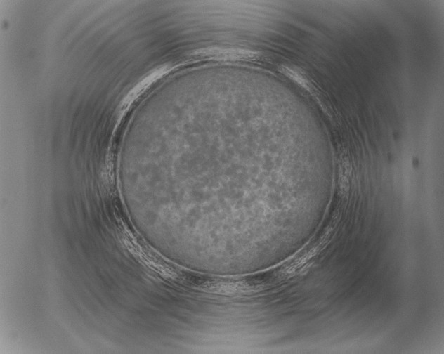 X0000056031074200509021816