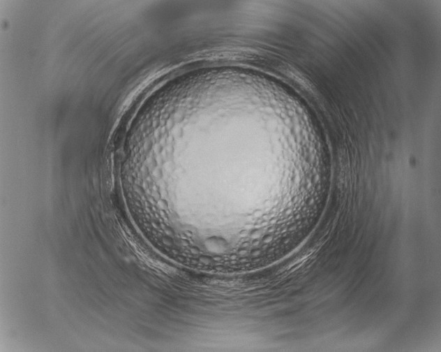 X0000056031075200509021816