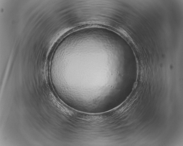 X0000056031076200509021816