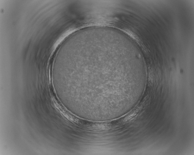 X0000056031078200509021815