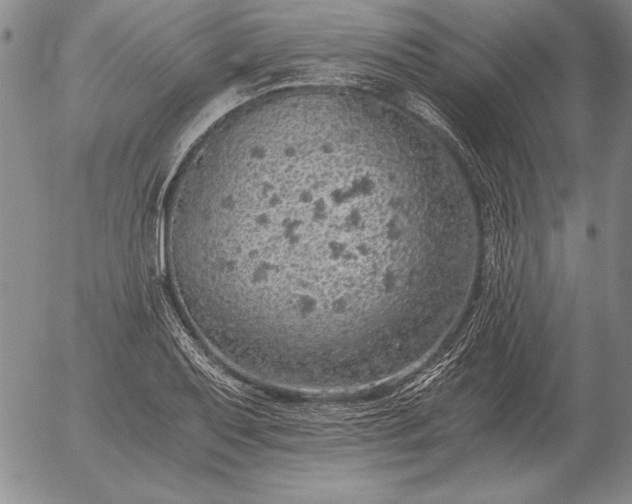 X0000056031079200509021815