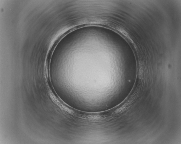 X0000056031080200509021815