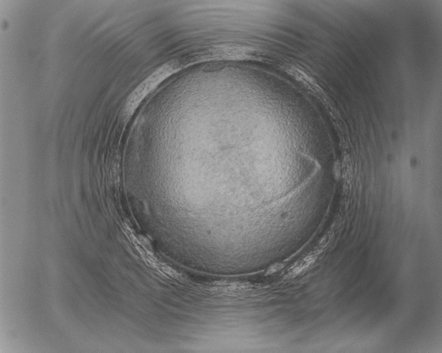 X0000056031081200509021815