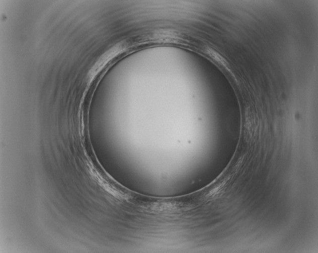 X0000056031082200509021815