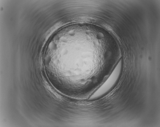 X0000056031083200509021815