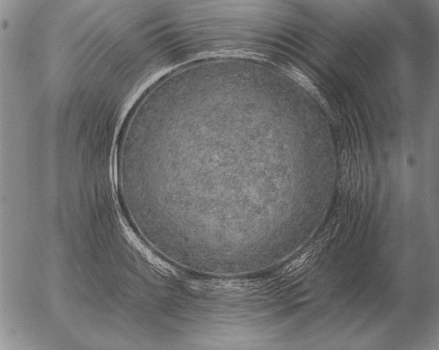 X0000056031084200509021815