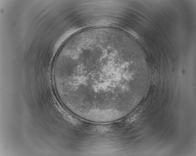 X0000056031086200509021815