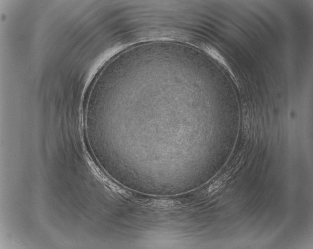 X0000056031088200509021815