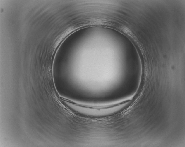 X0000056031089200509021815