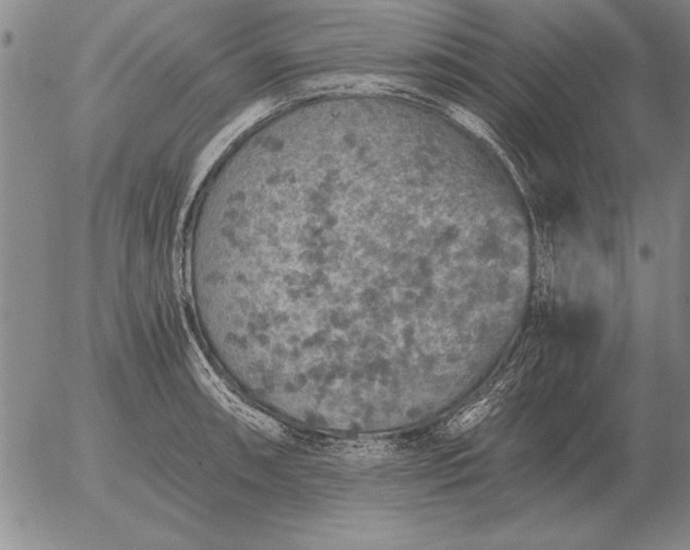 X0000056031090200509021815