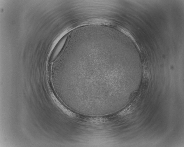 X0000056031091200509021815