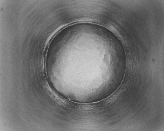 X0000056031092200509021815