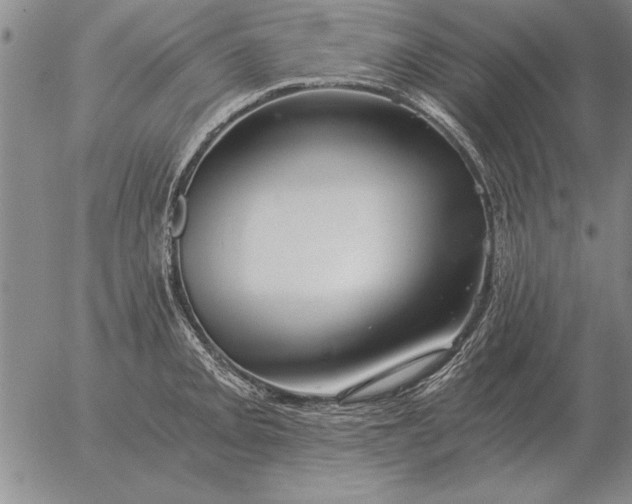 X0000056031093200509021815